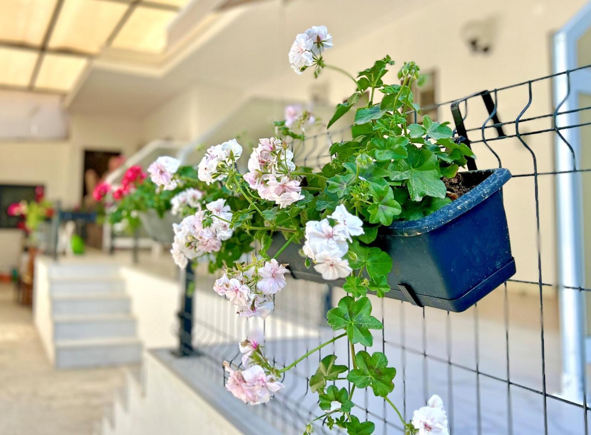 Guest House Julia Stavros  Exterior photo