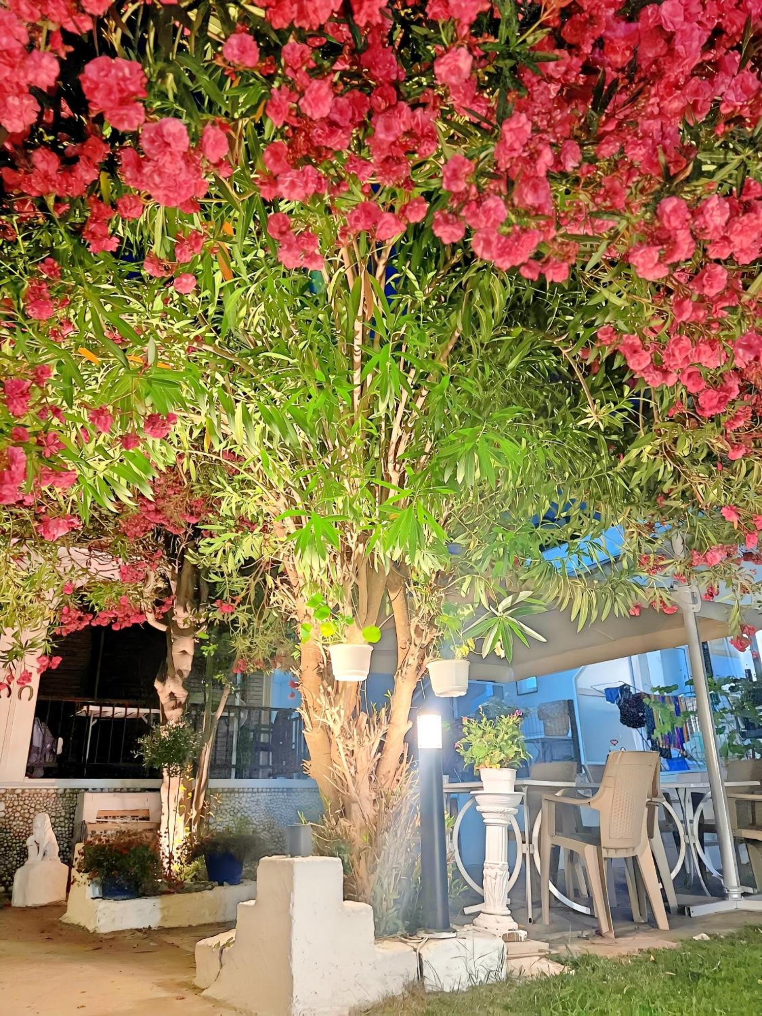 Guest House Julia Stavros  Exterior photo